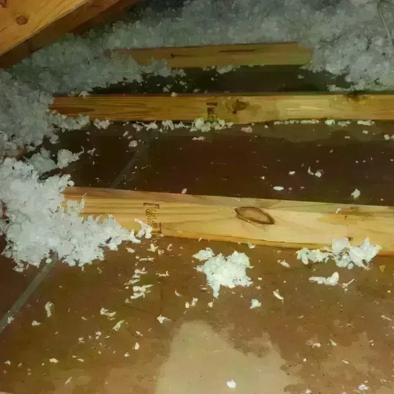 Attic Water Damage in Milton, WA